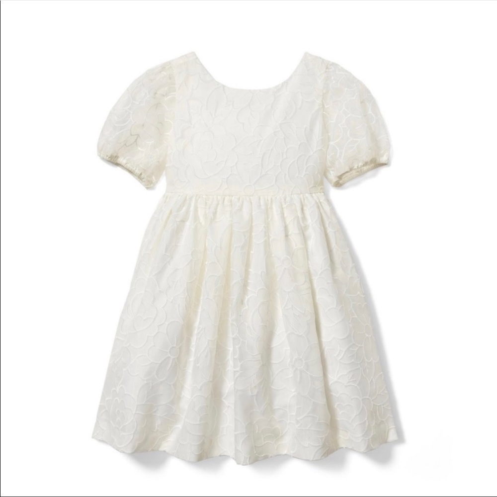 DISO: Janie and Jack Organza Floral Puffsleeve dress